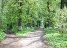 Vesna_11