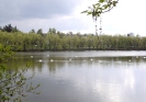 Vesna_1