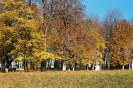 Osin_10
