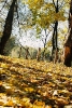 Osin_7