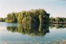 Osin_8