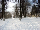 В парку